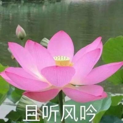 袁迎捷担任浙江沪杭甬高速公路股份有限公司董事长